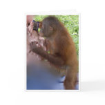 Love Your Reflection at Any Age Birthday cards