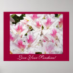 Love Your Sunshine! art prints Pink White Azaleas
