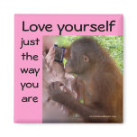 Love Yourself the Way You Are magnets