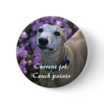 Loveable Greyhound buttons