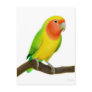 Lovebird Postcard