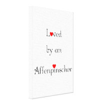 Loved by an Affenpinscher