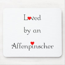 Loved by an Affenpinscher