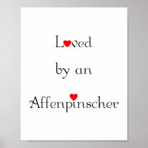 Loved by an Affenpinscher