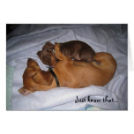loveis, Just know that... Greeting Card