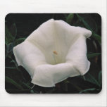 Lovely Angel's trumpet Mouse Pads