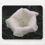 Lovely Angel's trumpet Mouse Pads
