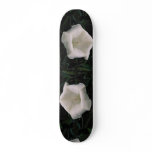 Lovely Angel's trumpet skateboards