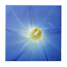 Lovely blue Morning Glory flower. Ceramic Tiles
