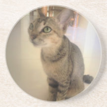 lovely cat beverage coasters
