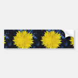 Lovely Dandelion yellow flower, close-up Bumper Sticker