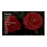 Lovely Floribunda Business Card Templates