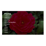 Lovely Floribunda Business Cards