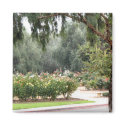 lovely garden magnets