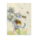 LOVELY HONEYBEES NATURE BEEKEEPERS HONEY POSTCARDS