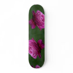 Lovely Hybrid Tea Rose 'Heirloom' skateboards