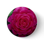 Lovely Hybrid Tea Rose 'Tiffany'leaves Buttons
