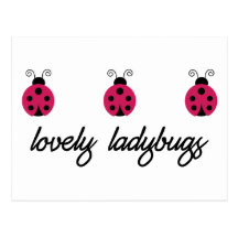 Lovely Ladybugs Post Card