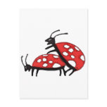 Lovely Ladybugs