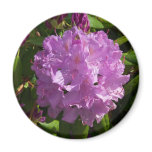 Lovely Lavender Rhododendron magnets