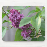 Lovely Lilac Bloom mousepads