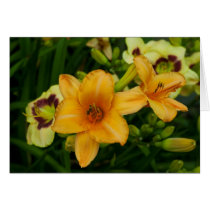 Lovely lilies card