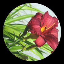 Lovely Lily stickers