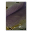 Lovely Lily Wedding cards