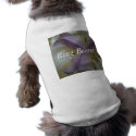 Lovely Lily Wedding pet clothing