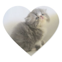 Lovely Persian stickers