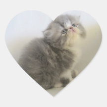 Lovely Persian stickers