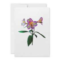 Lovely Pink Asiatic Lilies Announcement