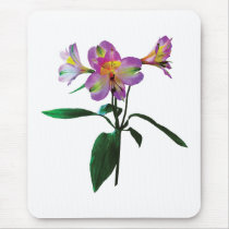 Lovely Pink Asiatic Lilies Mouse Pads