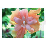 Lovely Pink, Orange & Yellow Hibiscus Easter Card