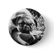 Lovely Playfull Mops Pinback Button