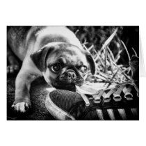 Lovely Playfull Mops Card