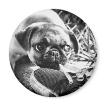 Lovely Playfull Mops Refrigerator Magnet
