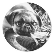 Lovely Playfull Mops Round Stickers