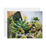 Lovely Potted Plants invitations