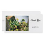 Lovely Potted Plants photo cards