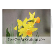 Lovely Spring Daffodils Greeting Card