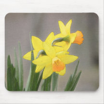Lovely Spring Daffodils Mousepads