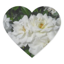 Lovely White Roses Sticker