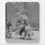 Lovely Winter Scene Mousepad