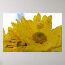 Lovely Yellow Flowers Poster