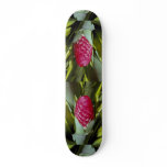 LovelyRed flower, bromeliad quesnelia from French skateboards