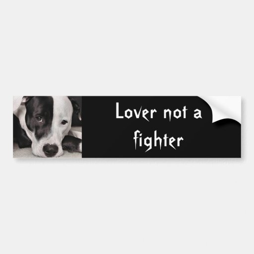 Lover not a fighter bumper stickers