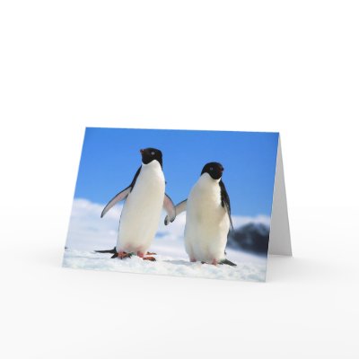 lovers penguins card by butter527