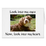 LOVING DOGGIE GIVES DETAILS ON MISSING "YOU" CARD