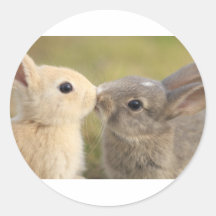 loving rabbit シール